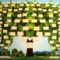 A7<br>Arbre généalogique<br>7 générations