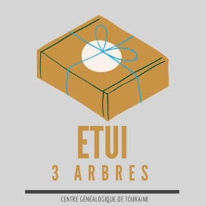 Emballage pour 3 arbres au plus